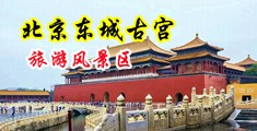 嗯啊嗯啊好粗好大插尖视频中国北京-东城古宫旅游风景区